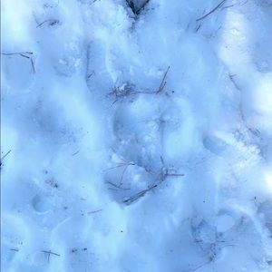 Meet your Posher, Karelvio